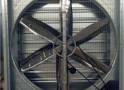 點(diǎn)擊查看詳細(xì)信息<br>標(biāo)題：Heavy Hammer Type Animal Husbandry Fan 閱讀次數(shù)：1462